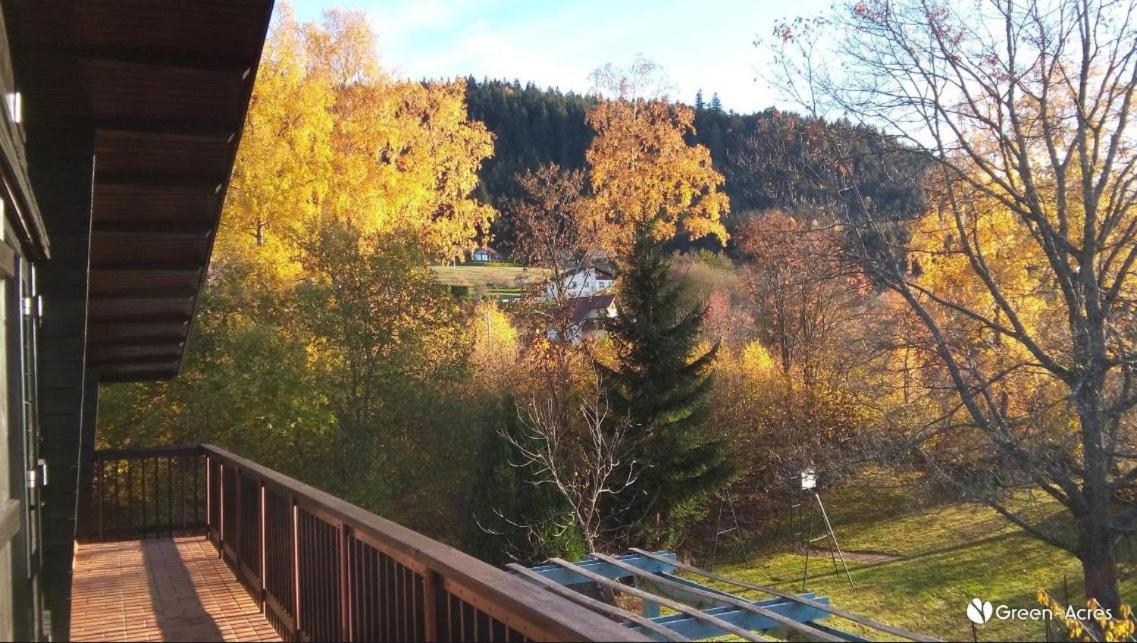 Chalet Les Chardons Gerardmer Exterior photo